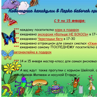 Новая программа