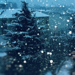 День исполнения желаний  в Парке Бабочек!